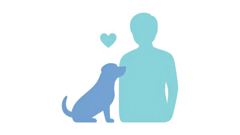 Собака толкает: причины