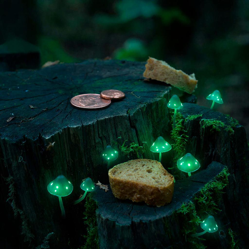 Традиционное подношение лешему на старом пне