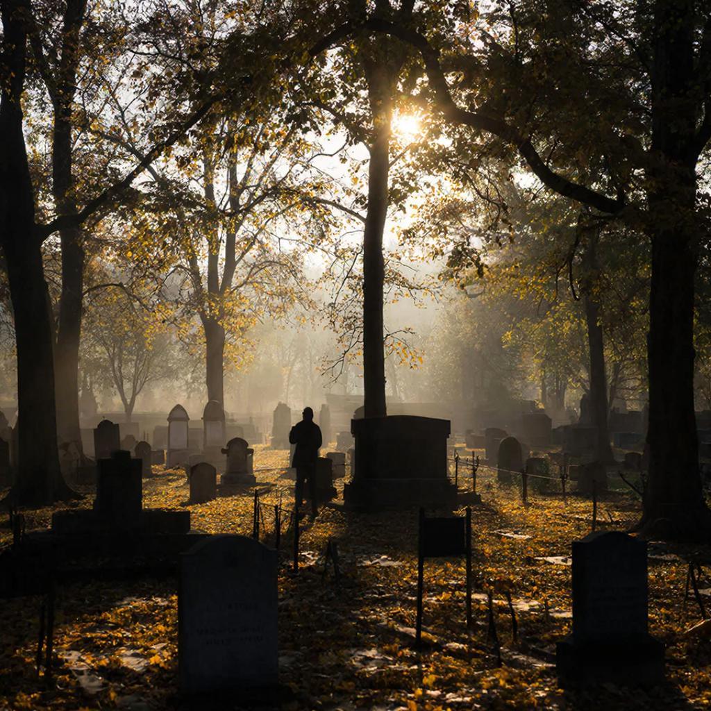 Рассвет на кладбище в поминальный день как символ вечной жизни