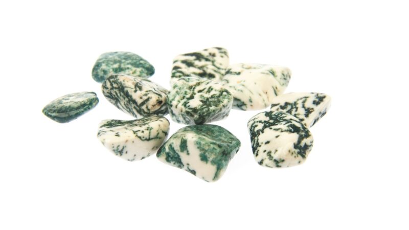 Сила древесного агата: магия природы