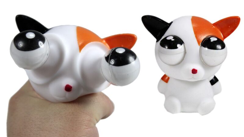 Что такое сквиш: приметы и реальность