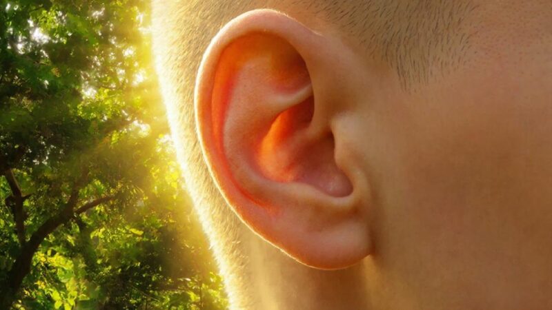 Горят уши в полдень приметы