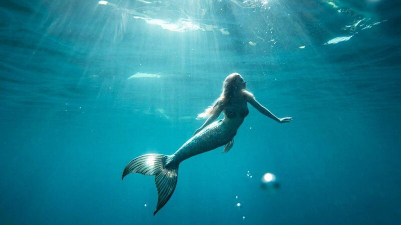 К чему снится русалка в воде женщине — значение